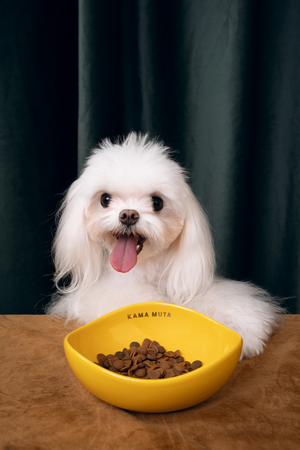 CURVED CERAMIC PET BOWL