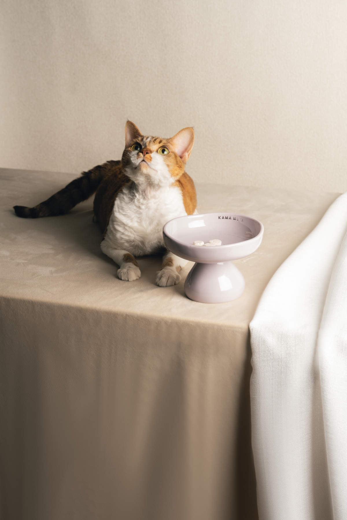 PASTEL CERAMIC ELEVATED PET BOWL