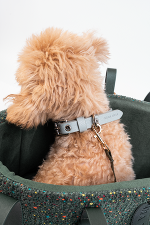 MINI TWEED PET TOTE BAG