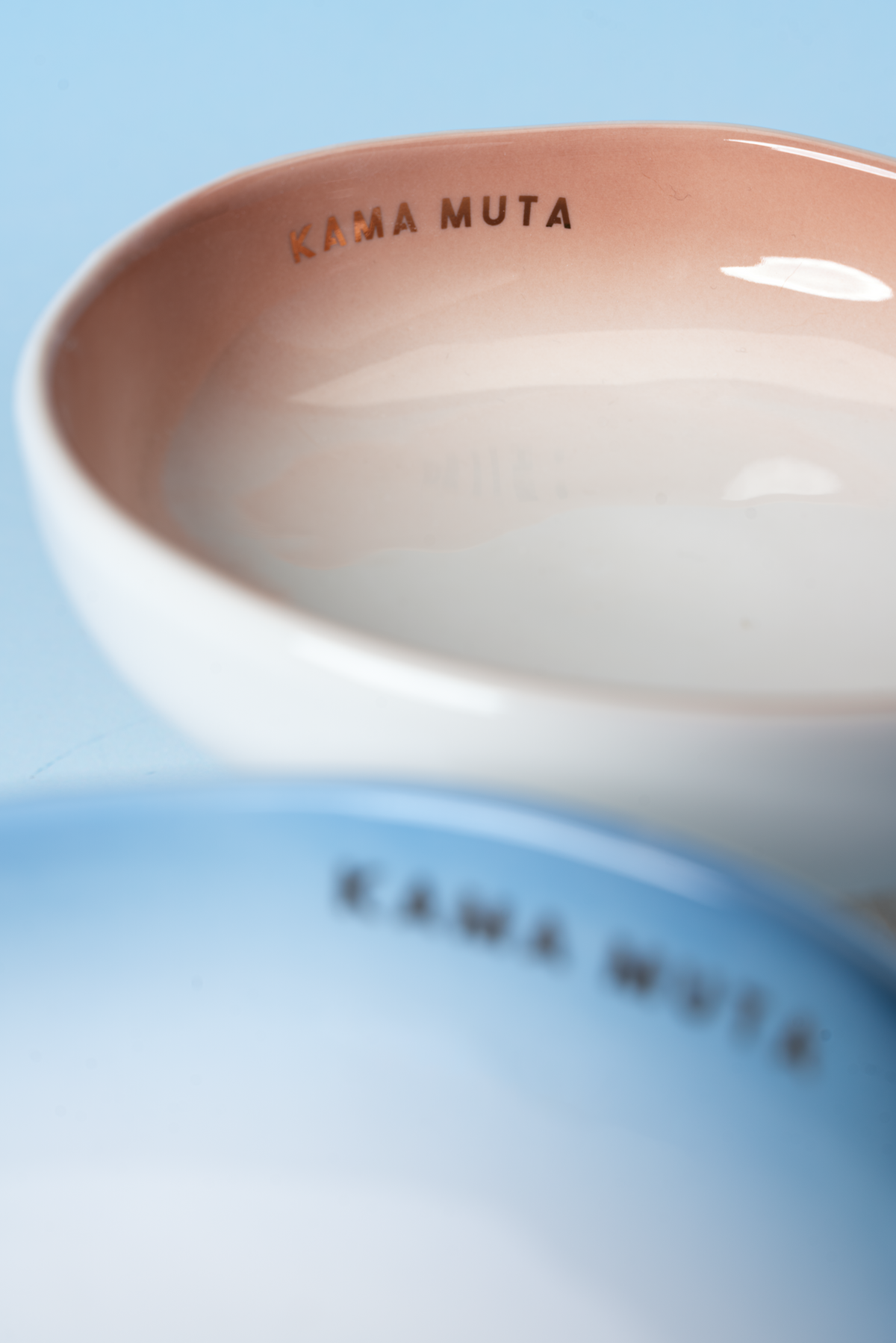 OMBRÉ CERAMIC ELEVATED PET BOWL