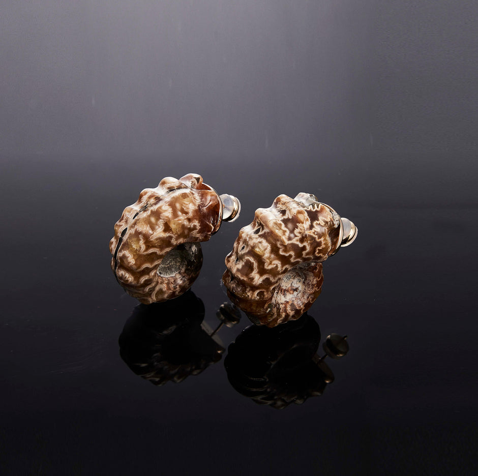 700QiBai HELIX FOSSIL AMMONITE EARRING  |  TROVE & TONE