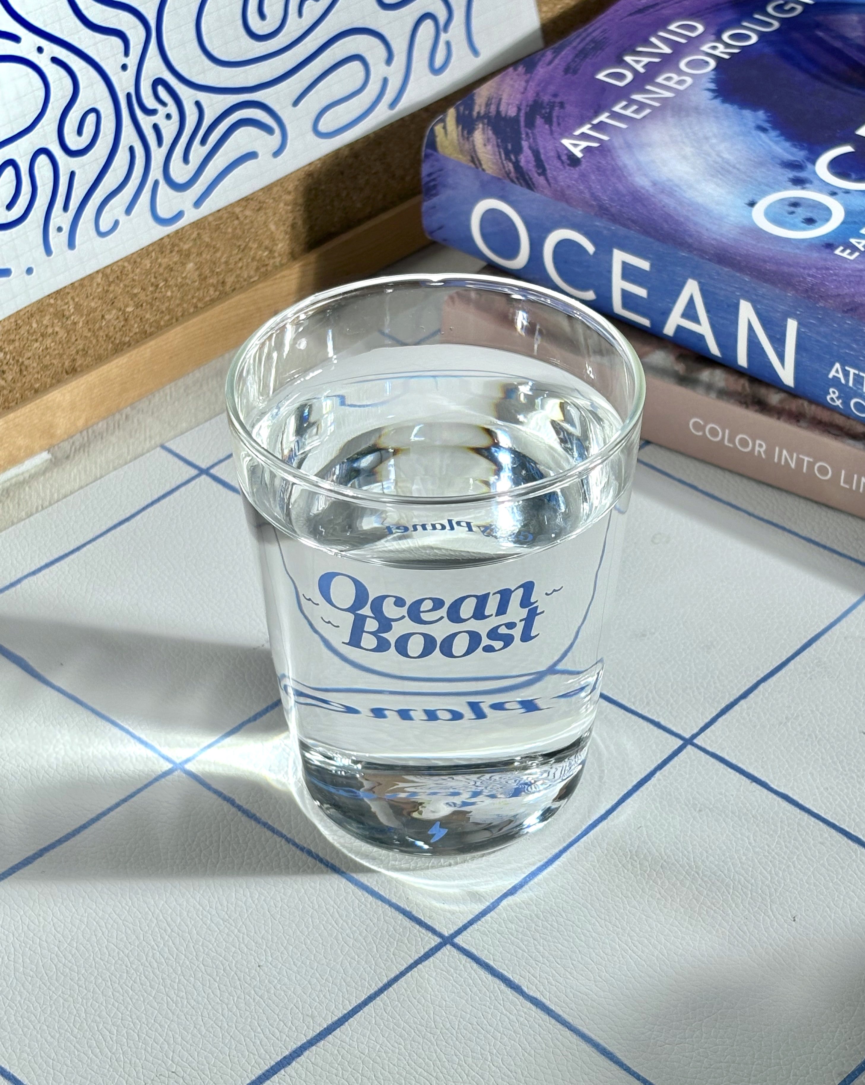 GiffyPlanet OCEAN BOOST GLASS CUP  |  TROVE & TONE