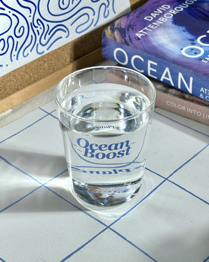 GiffyPlanet OCEAN BOOST GLASS CUP  |  TROVE & TONE