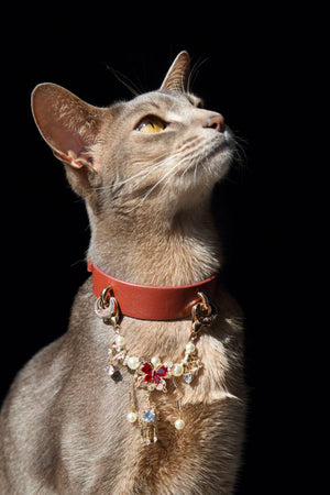 FORTUNE BUTTERFLY PET NECKLACE