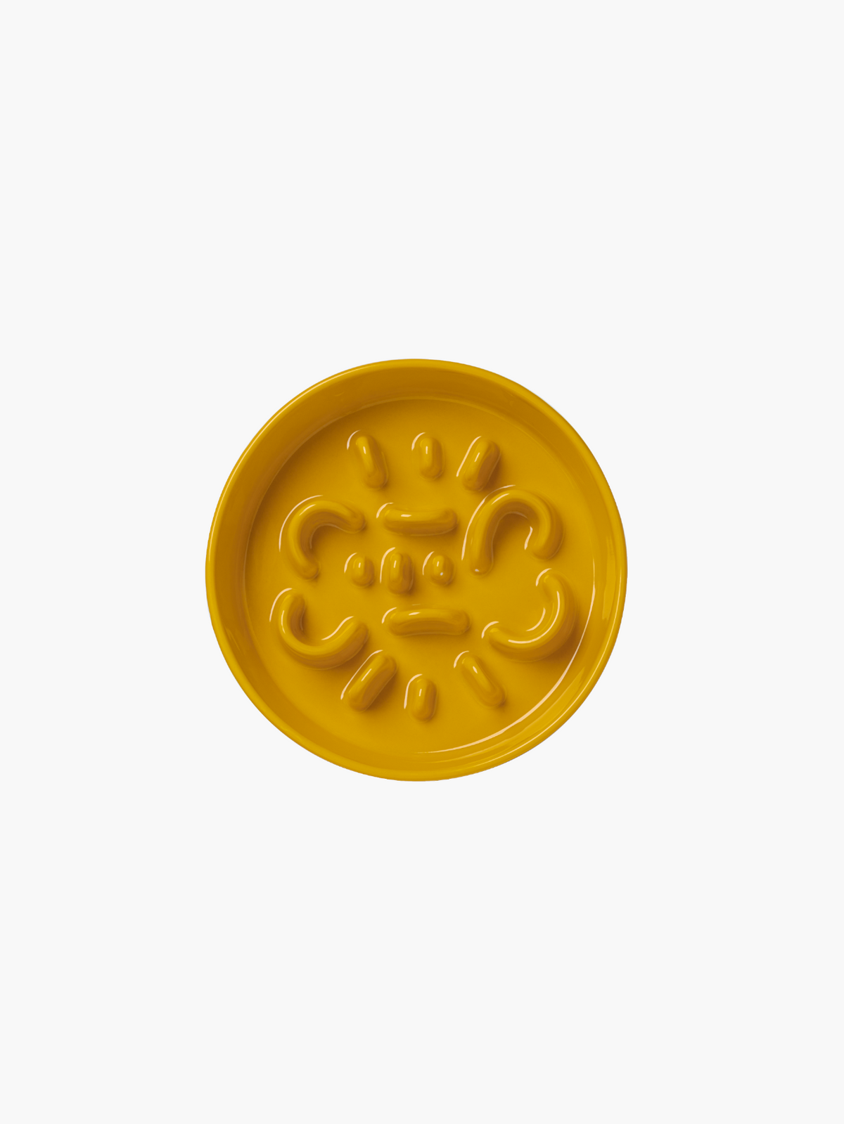 CERAMIC SLOW FEEDER DOG BOWL · BONE