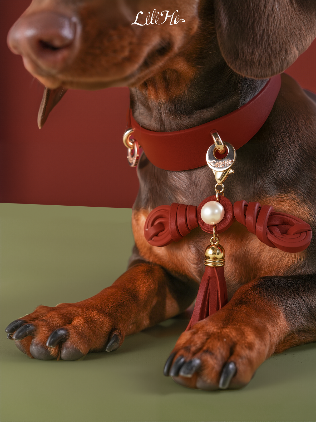 LUMIWISH KNOT COLLAR CHARM