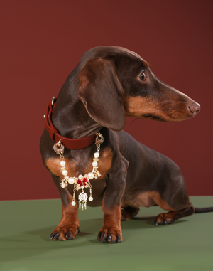 FORTUNE BUTTERFLY PET NECKLACE