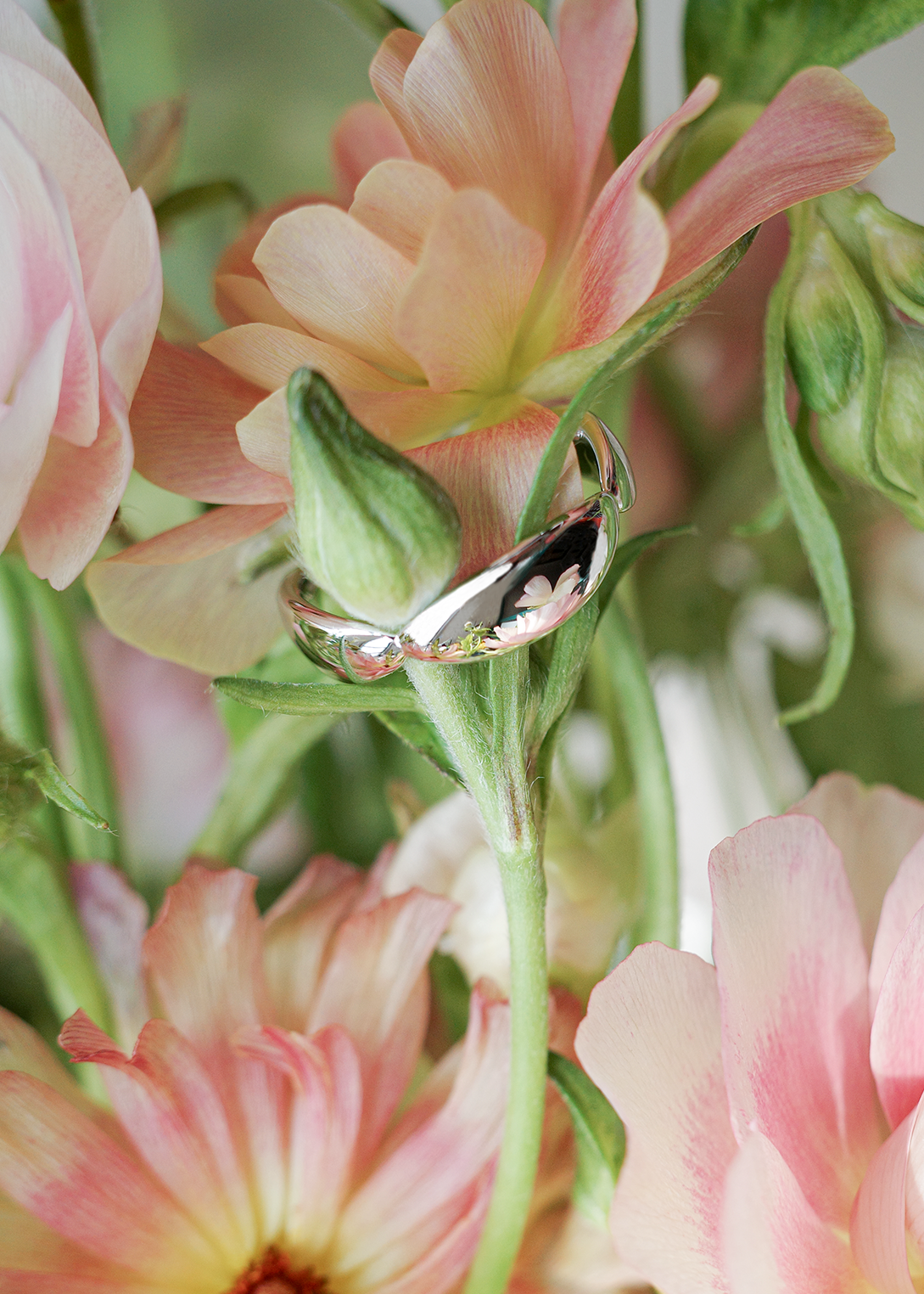 CONTROL POINTS PETAL SPRING RING  |  TROVE & TONE