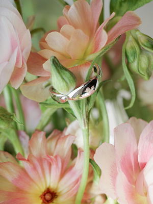 CONTROL POINTS PETAL SPRING RING  |  TROVE & TONE