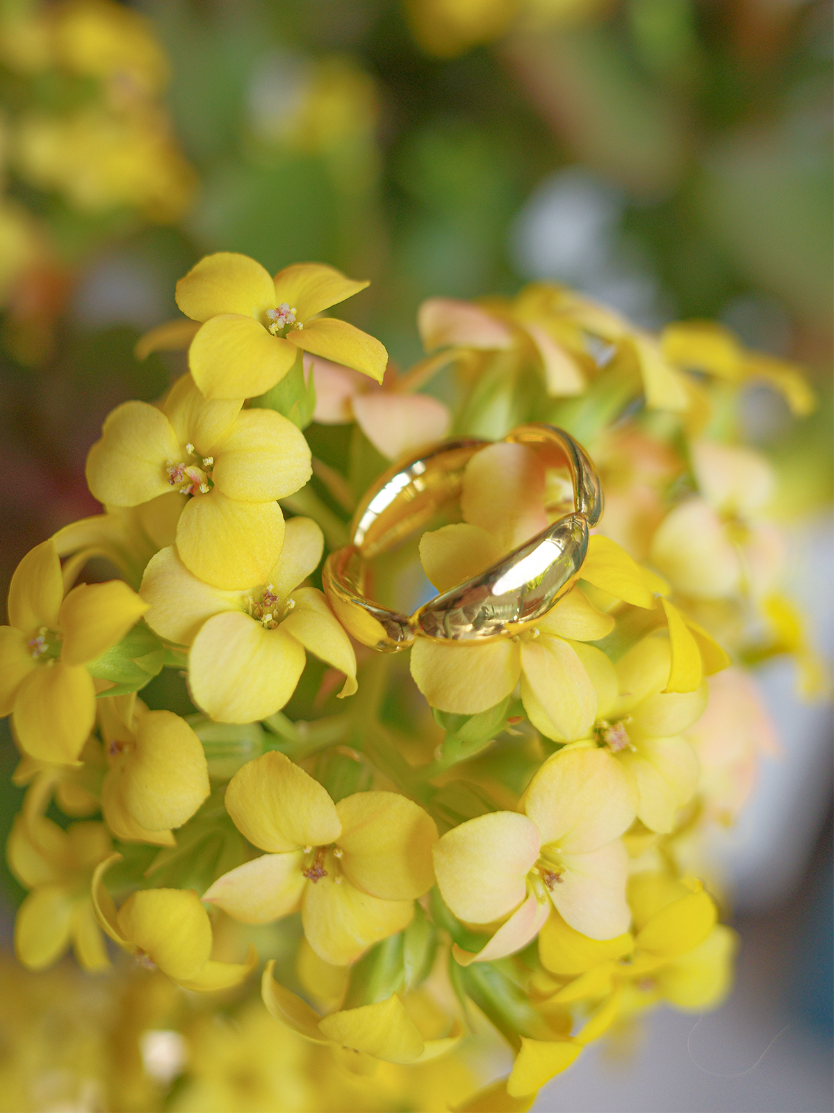 CONTROL POINTS PETAL SPRING RING  |  TROVE & TONE