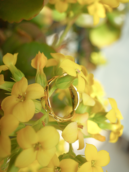 CONTROL POINTS PETAL SPRING RING  |  TROVE & TONE
