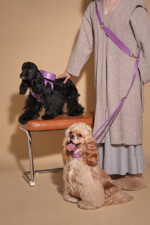 LAVANDER GLOW LEATHER PET LEASH