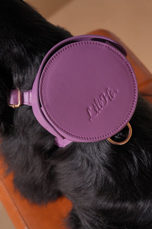 LAVANDER GLOW LEATHER PET HARNESS