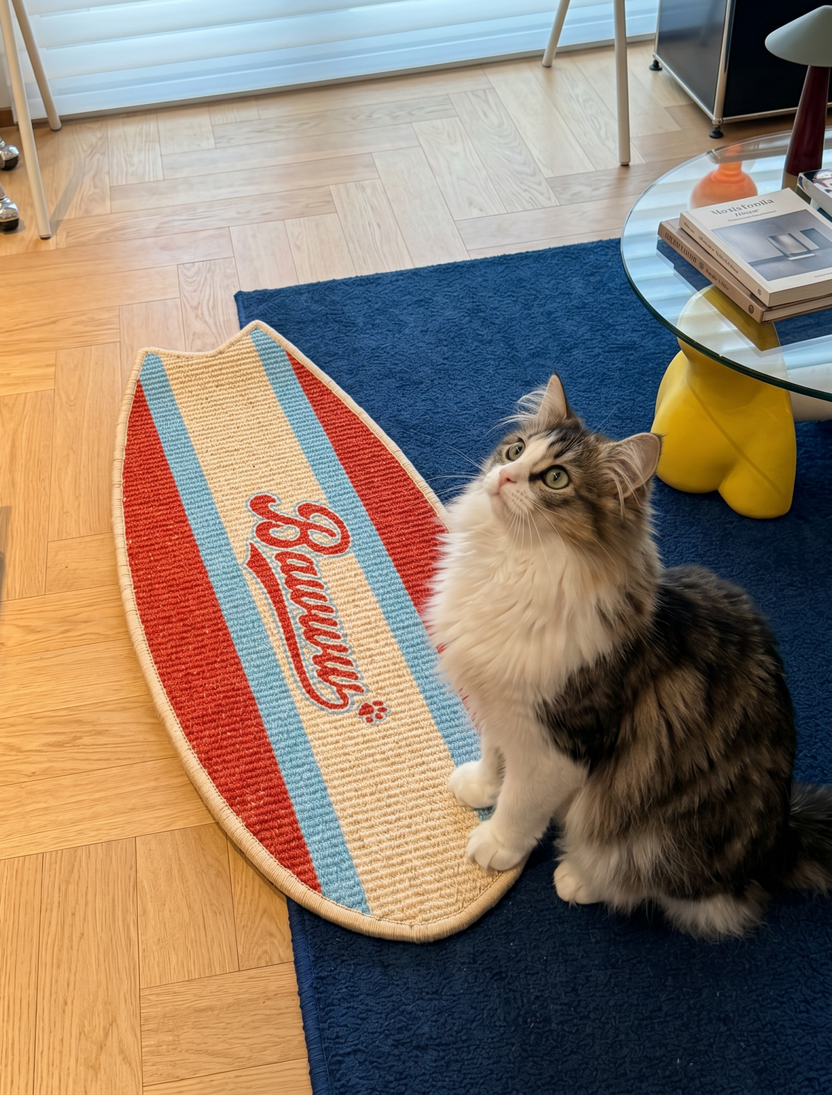 SURFBOARD CAT SCRATCHING MAT