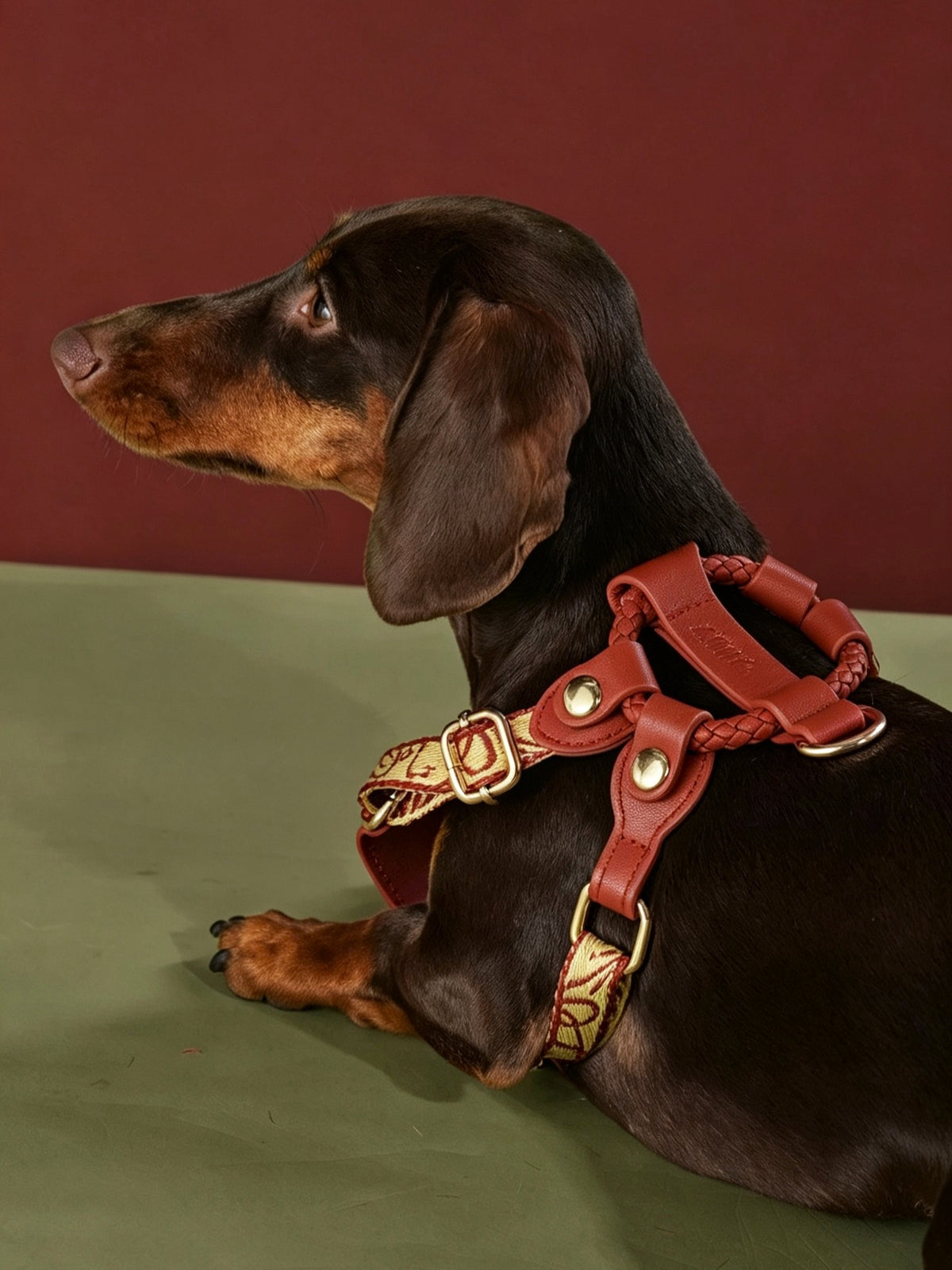 LUMIWISH RED BROWN LAMBSKIN PET HARNESS