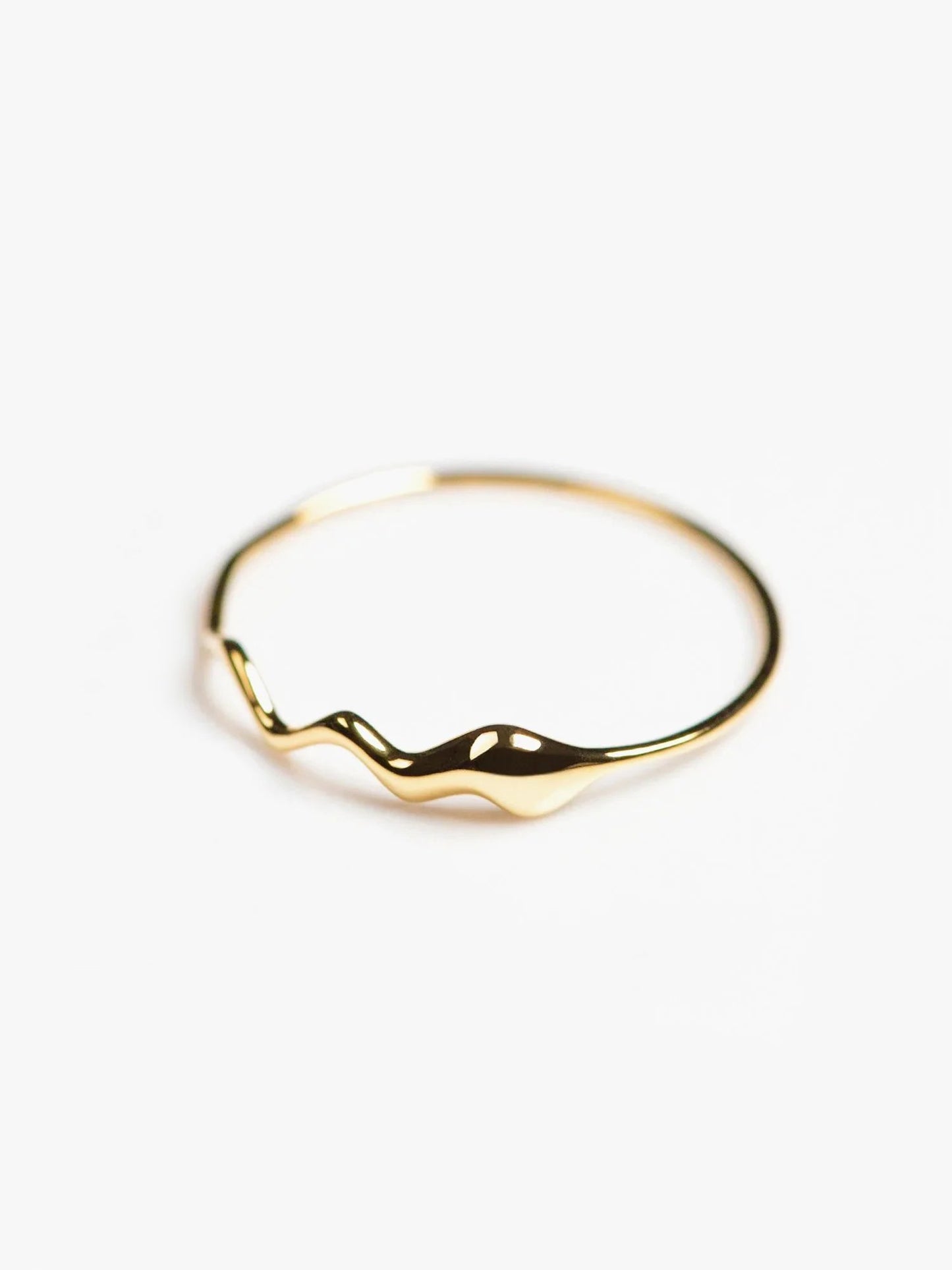 CONTROL POINTS LIQUID METAL TWIST RING  |  TROVE & TONE
